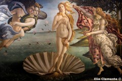 89_Firenze_077_Uffizi-Sala-10-Sandro-Botticelli