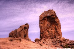 96_Canarie_01