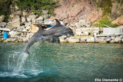82-Saint-Kitts-and-Nevis_06