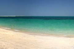 83-Dubai_13