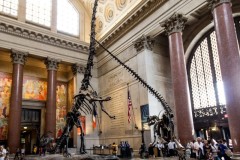 84-New-YorkMuseum-of-History_01