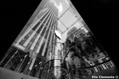 84-New-York_10