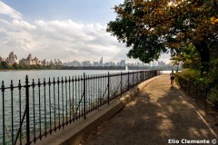 84-New-York_13