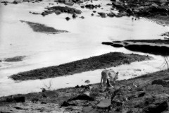 88-Kenya_06