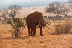88-Kenya_07