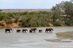 88-Kenya_09