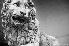 89-Firenze-0_26