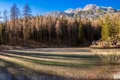92-Cortina_05