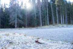 92-Cortina_06