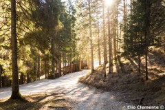 92-Cortina_07