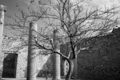 94-Napoli-Pompei_12
