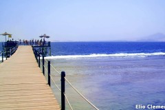 95-Egitto_05