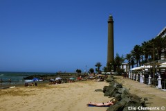 96-Canarie_05