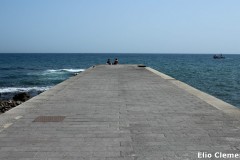 96-Canarie_06
